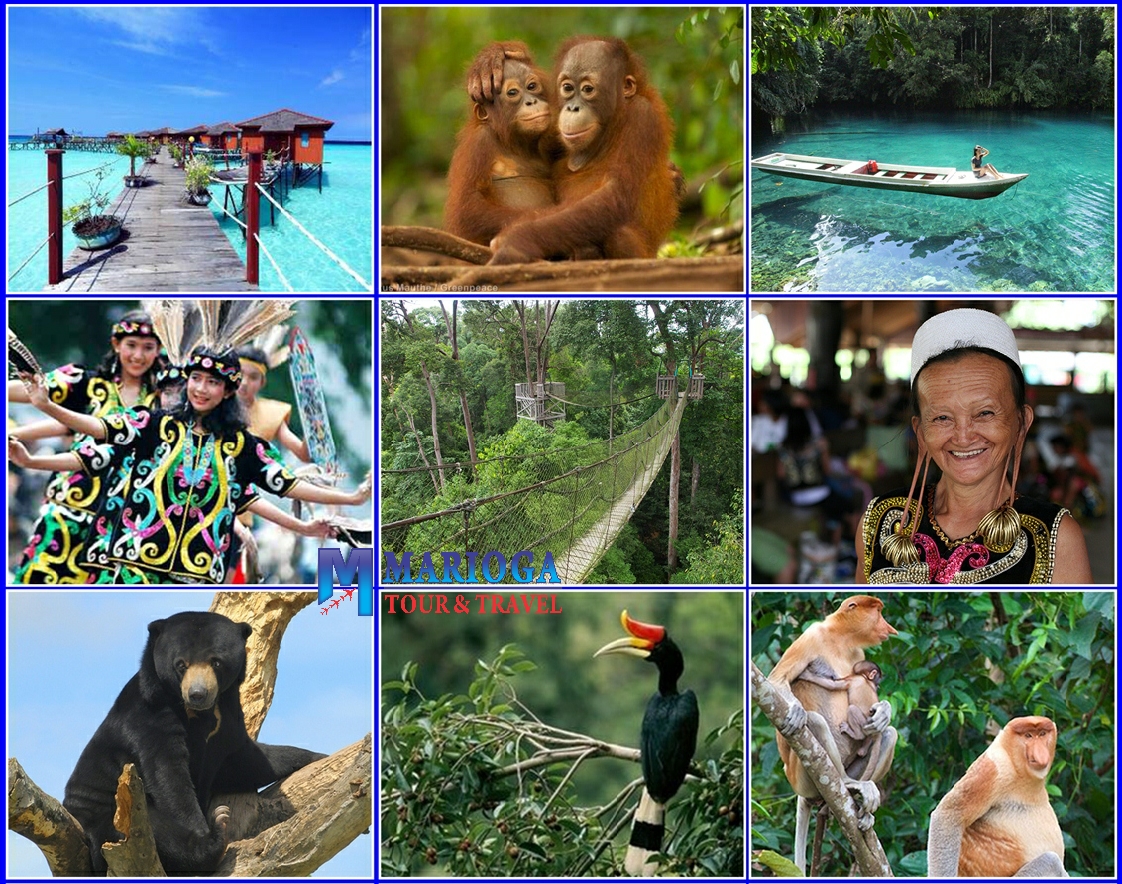 East Borneo Tours